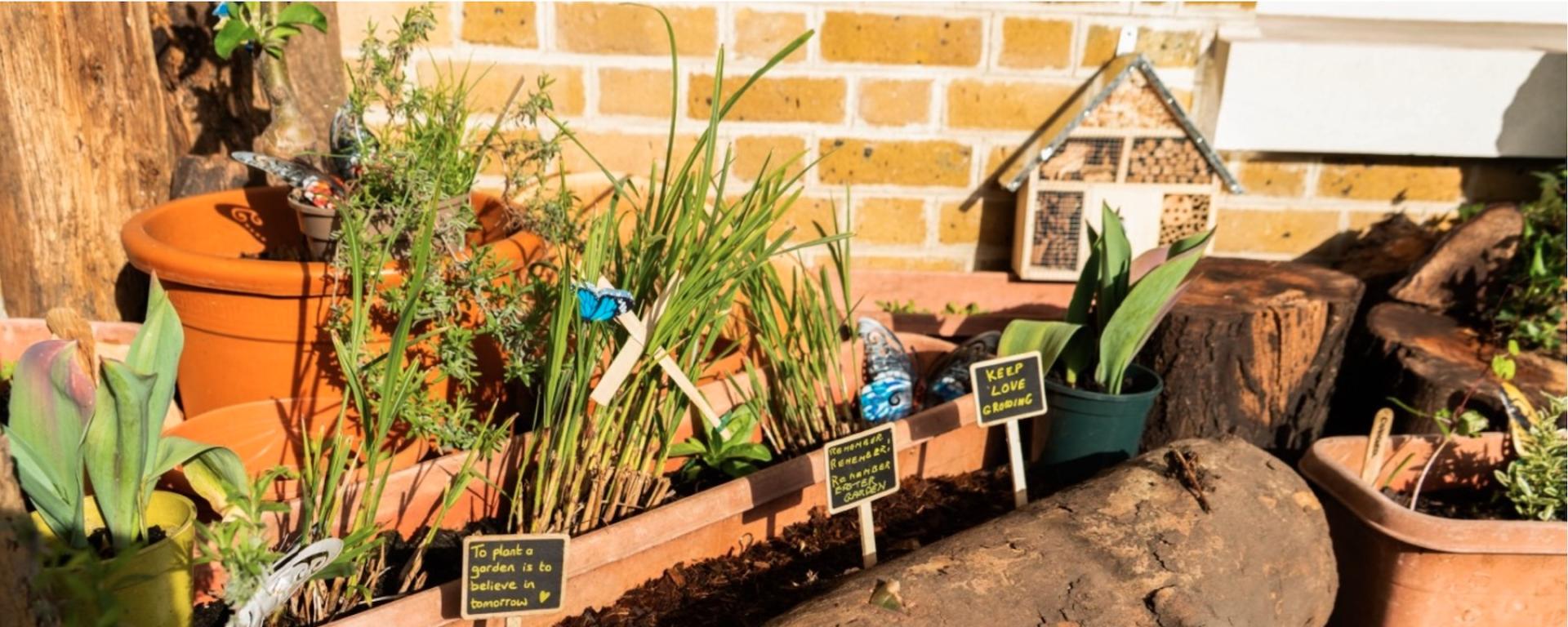 Archie's Easter and Dementia Gardens