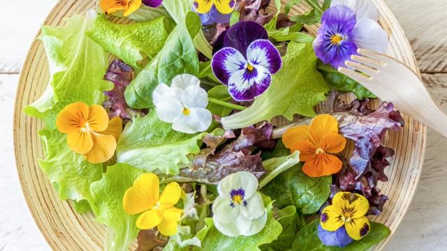 A plate of colourful edible flowers in yellows, purples and oranges - sit upon a bed of lettuce and salad leaves
